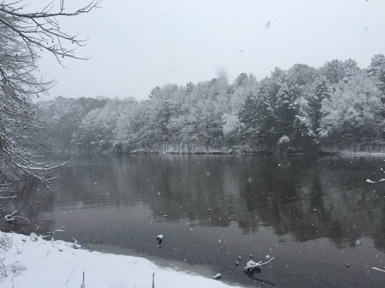 Scene in Davidson, NC